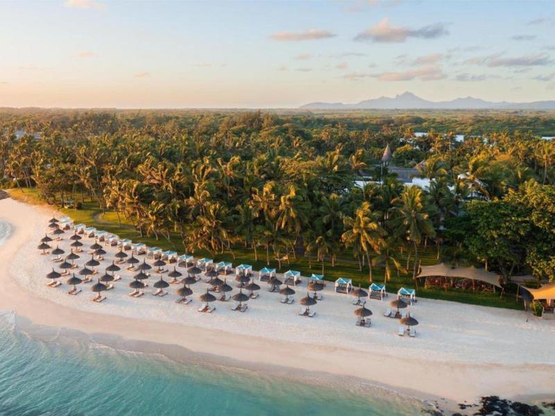 Beach with rows of umbrellas and lounge chairs in front of dense forested coastline at sunset.