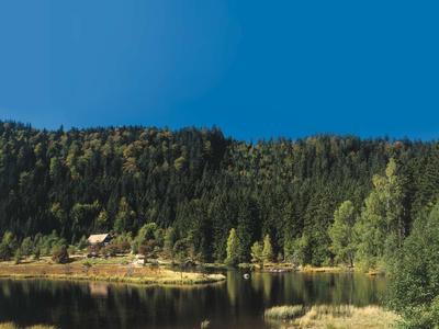 Ferien- und Aktivhotel Zum Arber