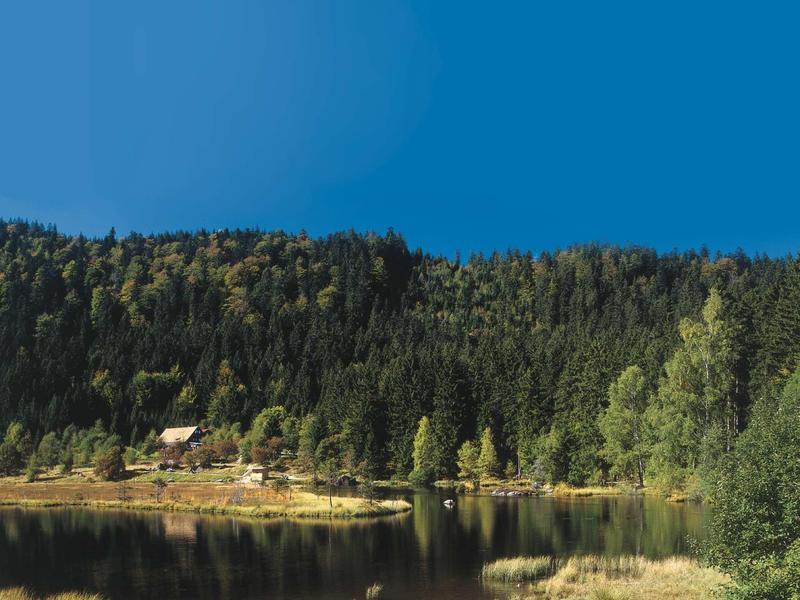 See mit klarer Wasserfläche, umgeben von grünem Wald und unter blauem Himmel, mit zwei Personen am Ufer.