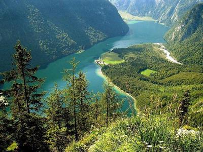 Grüner Bergsee umgeben von bewaldeten Bergen unter klarem Himmel, Blick von einem Hang.