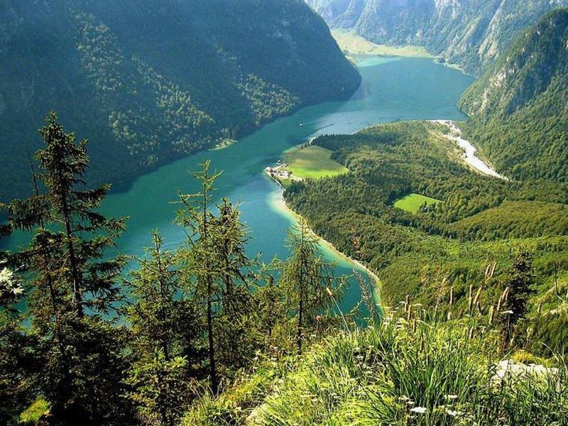 Grüner Bergsee umgeben von bewaldeten Bergen unter klarem Himmel, Blick von einem Hang.