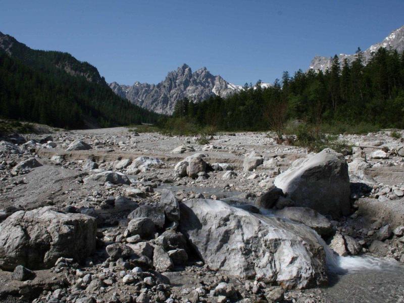 Berglandschaft mit felsigem Flussbett, umgeben von Nadelbäumen und hohen Bergen im Hintergrund.