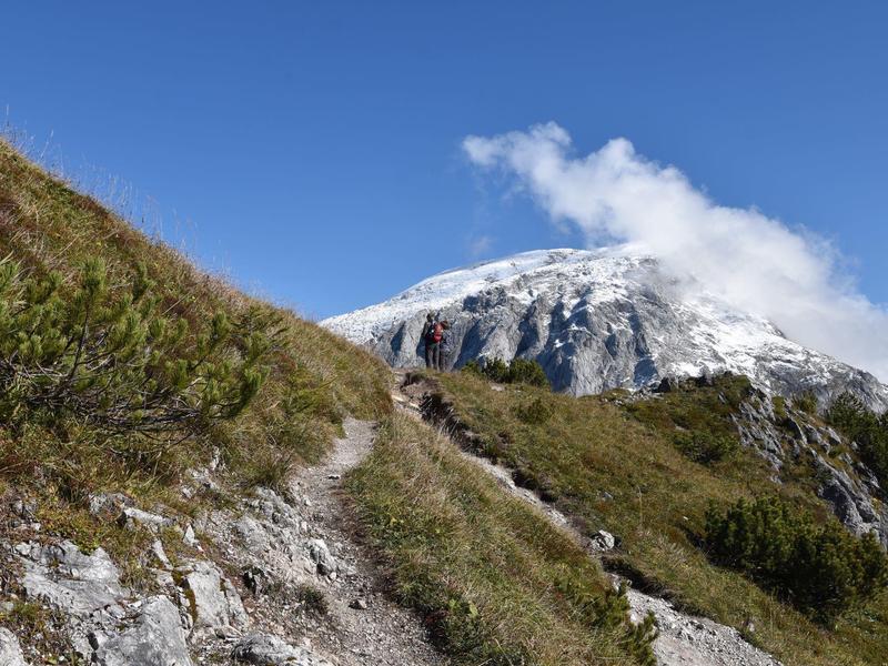 Bergpfad durch grüne Vegetation mit schneebedecktem Gipfel unter blauem Himmel.