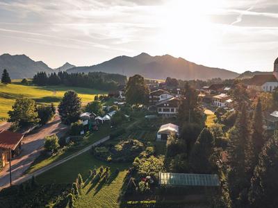 Der Bären im Allgäu