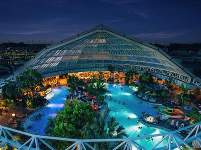 Piscina tropicale coperta con acqua illuminata e piante di notte.