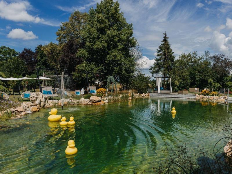 Natürlich gestaltetes Schwimmbecken im Freien mit gelben Entenfiguren und grüner Umgebung