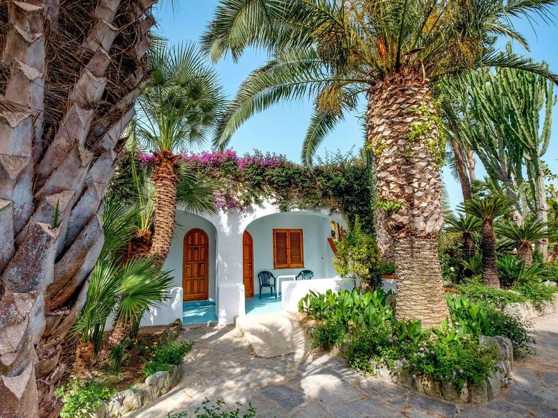 Weißes Haus mit Holzfenstern, umgeben von Palmen und bunten Blumen in sonniger Landschaft.