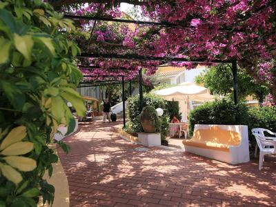 Chemin de jardin couvert avec bougainvilliers roses en fleurs, canapé blanc et plantes.