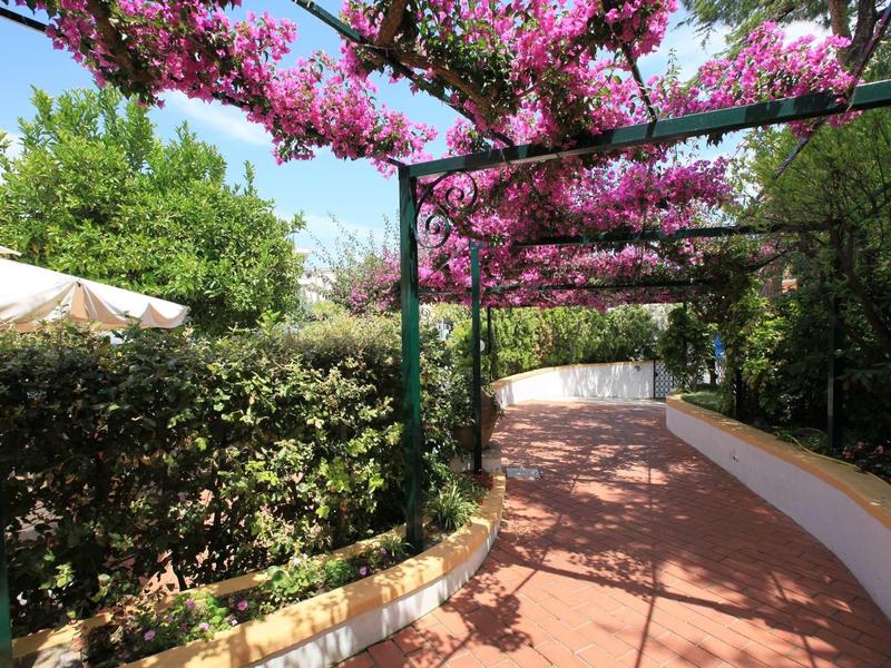 Un chemin de jardin ombragé avec des fleurs roses en fleurs sur une pergola et des haies vertes.