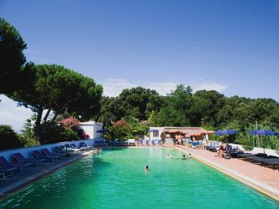 Großer Außenpool mit grüner Wasserfarbe, umgeben von Liegestühlen und Bäumen unter blauem Himmel.