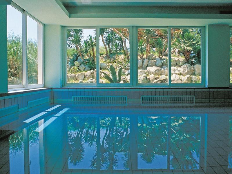 Overdekt zwembad met grote ramen met uitzicht op een tuin met palmbomen en rotsen.
