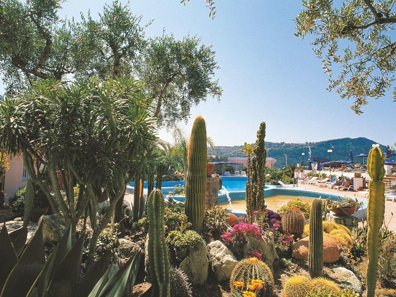 Hotel tuin met verschillende cactussen en uitzicht op het zwembad en bergen op de achtergrond.