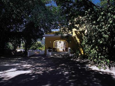 Ein gelbes Haus umgeben von Bäumen mit Schatten auf dem Boden vor dem Eingang.