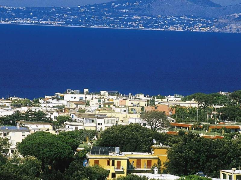 Blick auf Küstenstadt mit weißen Häusern, grünem Wald im Vordergrund und blauem Meer unter klarem Himmel.