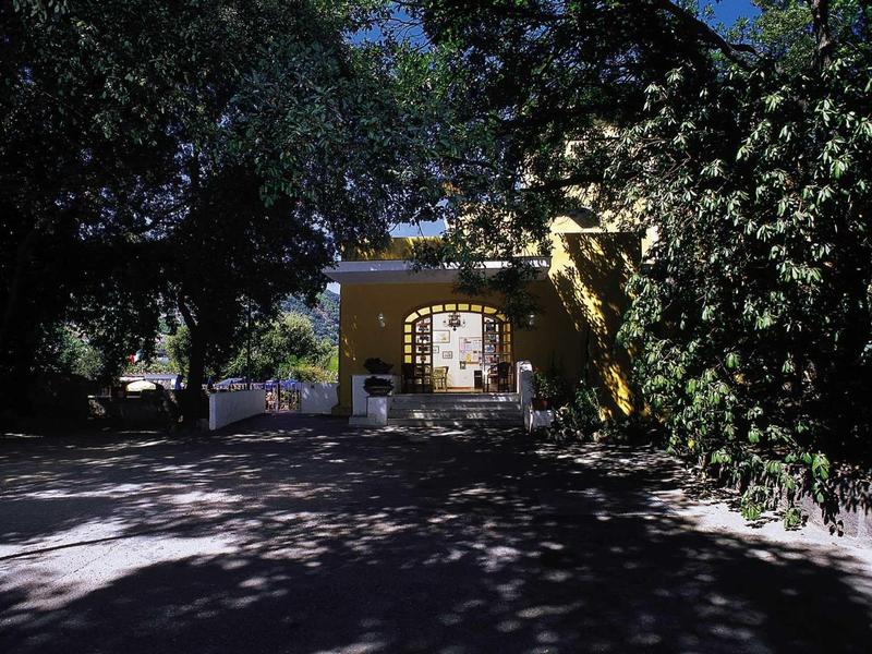 Ein gelbes Haus umgeben von Bäumen mit Schatten auf dem Boden vor dem Eingang.