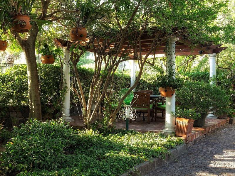 Przytulny ogród z drewnianymi ławkami pod zacienionym pawilonem otoczony bujną zielenią.