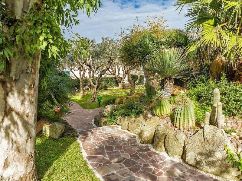 Un sentiero di pietra tortuoso attraversa un giardino rigoglioso con cactus e palme.