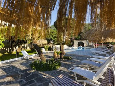 Garten mit gemütlichen Liegestühlen, Pool, Palmen und schattenspendenden Strohdächern.