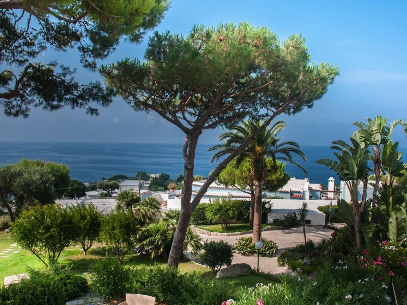 Uitzicht op een tuin met palmbomen en andere bomen, met de blauwe zee en een heldere lucht op de achtergrond.