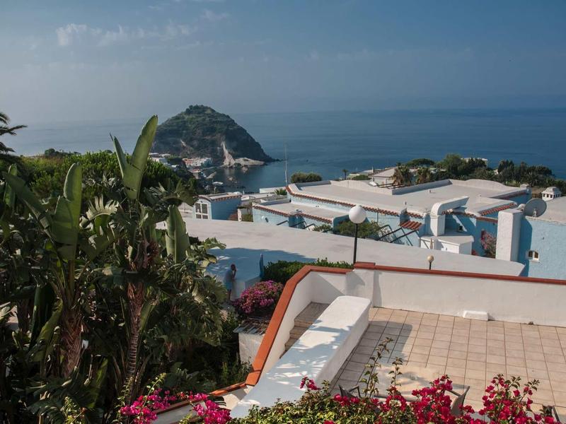 Uitzicht op zee en een eiland met hotels en planten op de voorgrond.