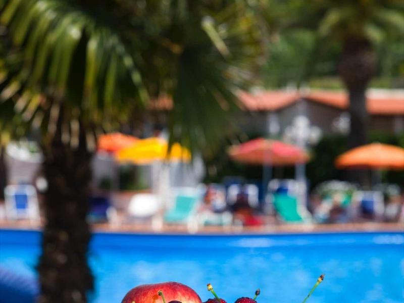 Barevná miska ovoce s třešněmi, hrozny a broskvemi u bazénu s palmami.