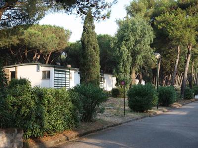 Reihen von Bungalows neben einem von Bäumen gesäumten Gehweg bei klarem Wetter