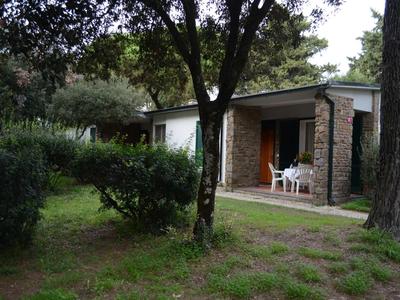 Piccolo bungalow con patio e sedie, circondato da alberi e verde.