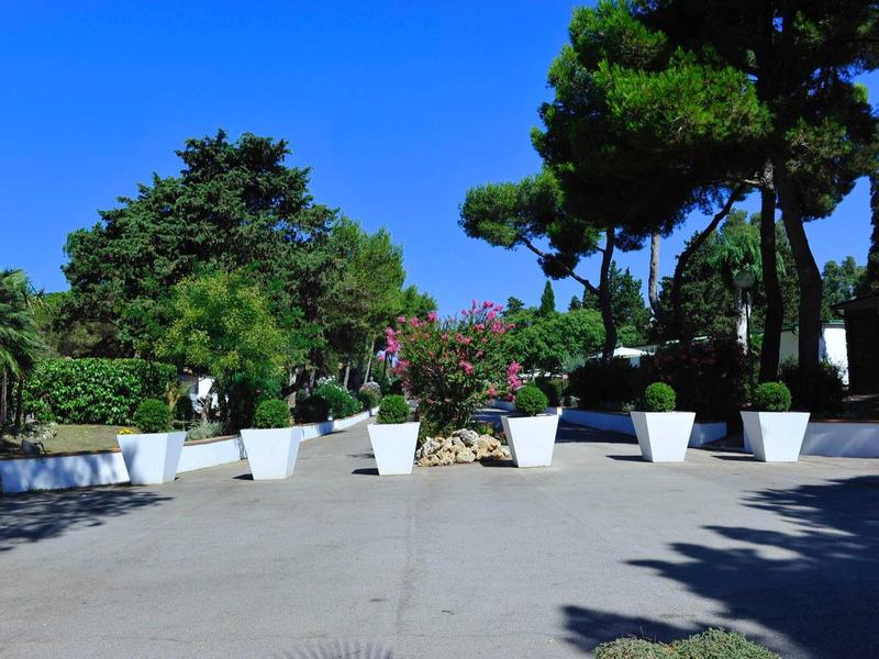 Ampio viale con vasi bianchi e alberi sotto un cielo azzurro limpido.