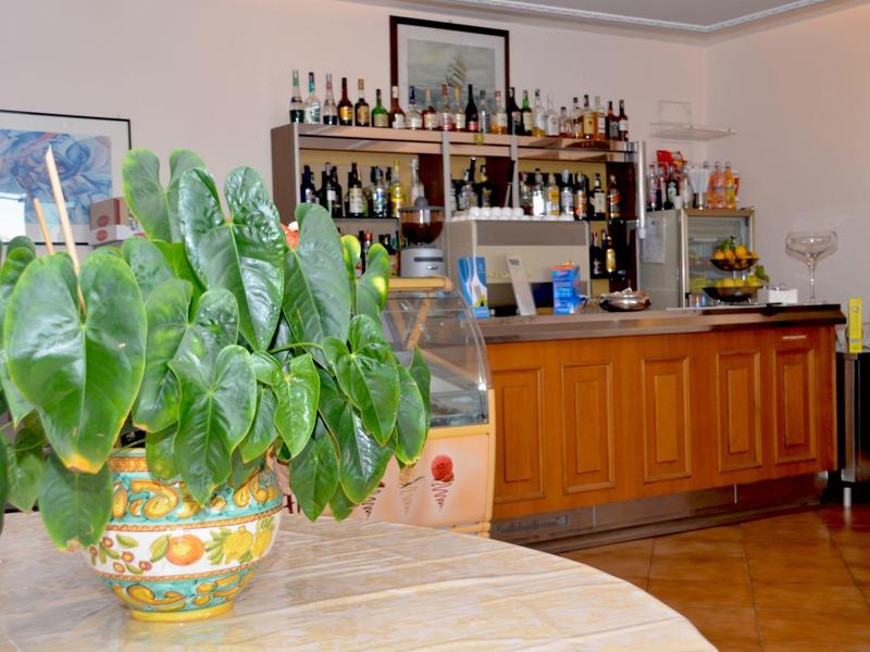 Bar z dużą rośliną na pierwszym planie i różnymi butelkami w tle.