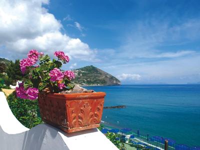 Blumentopf mit pinken Blumen auf einer Terrasse mit Meerblick und Bergen im Hintergrund.