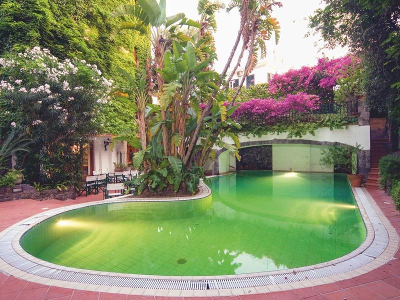 Green hotel pool surrounded by lush plants and flowers