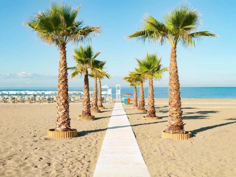 Piaszczysta plaża z palmami i białym chodnikiem prowadzącym do morza pod czystym niebem.