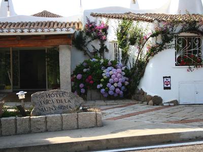 Freundlicher Hotelgarten mit blühenden Hortensien und weiß getünchten Wänden.