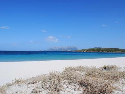 Plage de sable blanc avec herbe sèche et mer turquoise sous un ciel bleu clair.