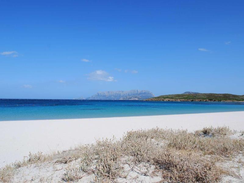 Plage de sable blanc avec herbe sèche et mer turquoise sous un ciel bleu clair.
