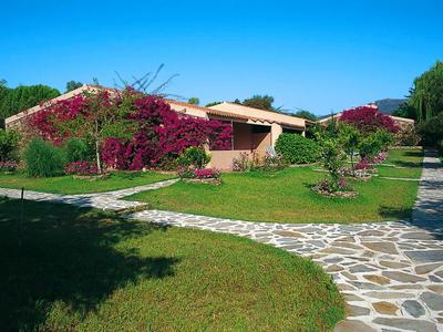 Einfamilienhaus mit blühenden Kletterpflanzen, grünem Rasen und gepflastertem Weg bei klarem Himmel.