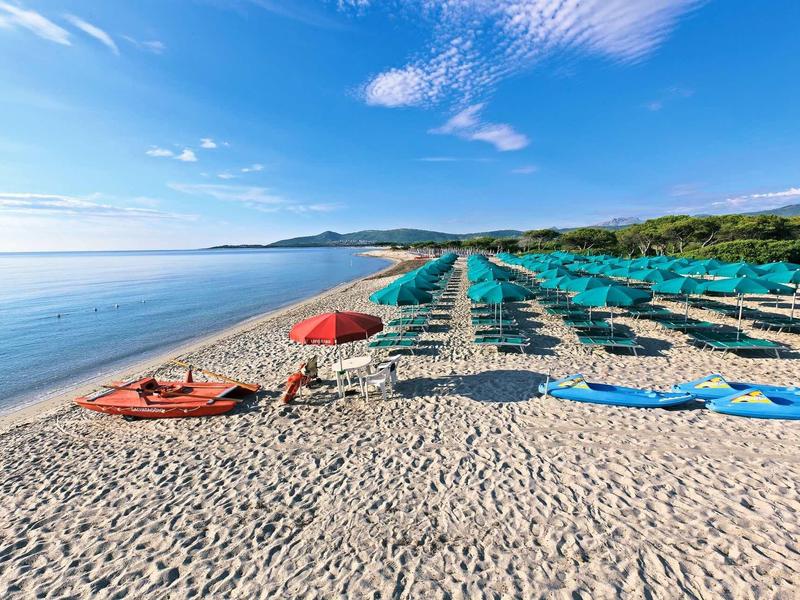 Strand mit feinem Sand, blauen Liegen, grünen Schirmen und ruhigem Wasser unter blauem Himmel.