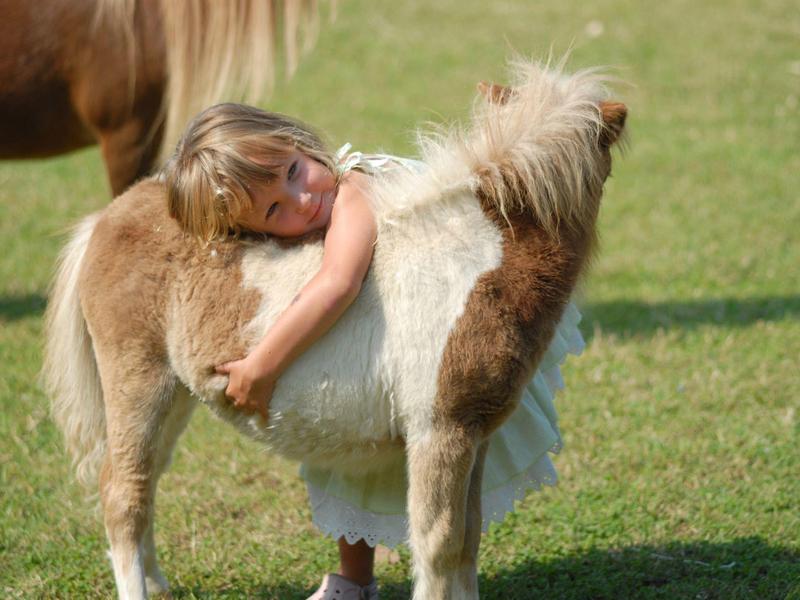 Child hugging a small pony on a grassy field with another horse nearby.