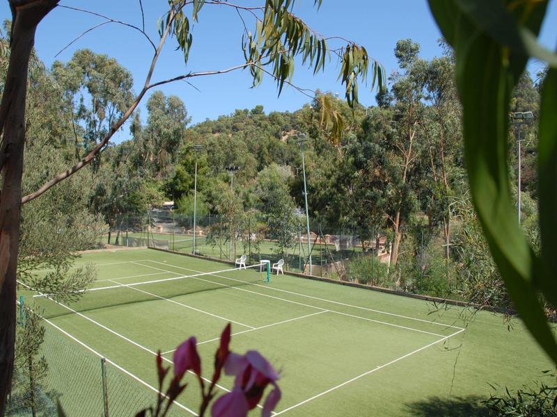 Outdoor tennis court surrounded by trees and plants under clear blue sky.