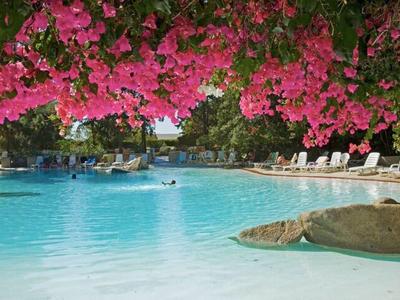 Vista de una piscina con flores rosas en primer plano y tumbonas al borde.