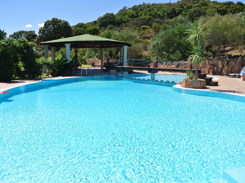 Large inviting pool with clear water and sunbathing area in a green setting.