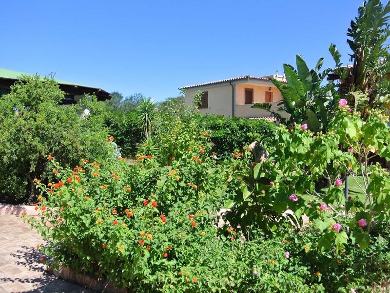 Green garden with blooming shrubs and houses in the background under a clear sky.