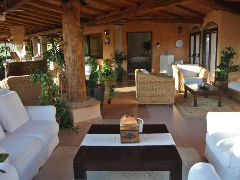 Cozy covered terrace with sofas and plants at a hotel