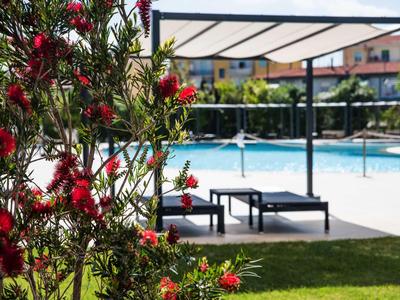 Buisson à fleurs rouges au premier plan avec piscines et chaises longues à l'arrière-plan.