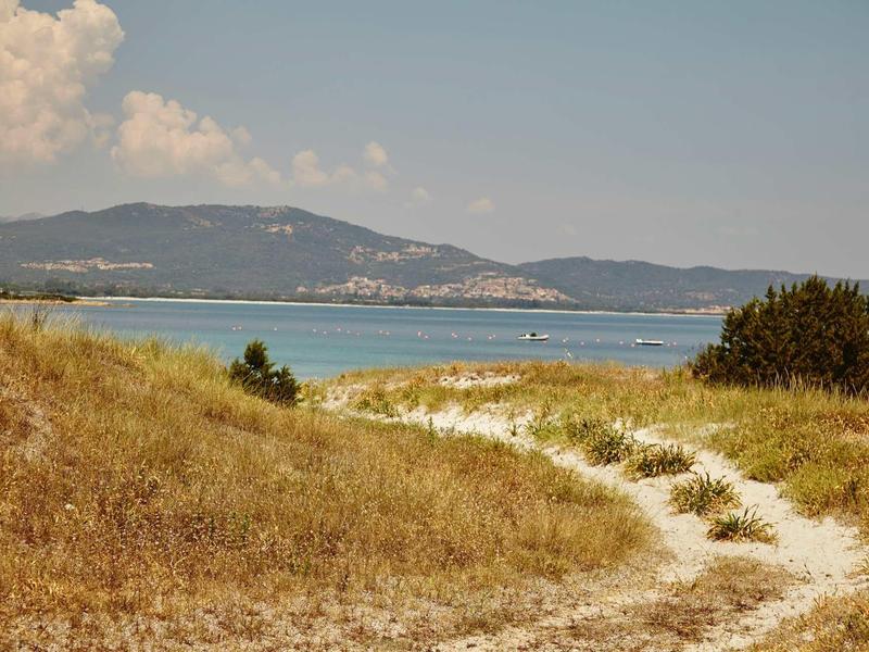 Chemin sablonneux à travers les dunes avec vue sur la mer et le paysage en arrière-plan