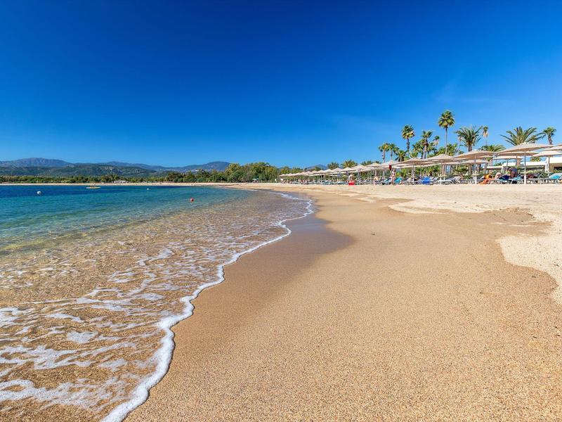 Plage avec eau claire, sable fin et palmiers sous un ciel bleu