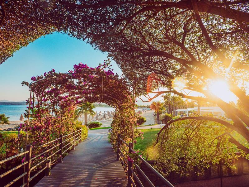 Lever de soleil sur un chemin voûté orné de fleurs avec vue sur la mer