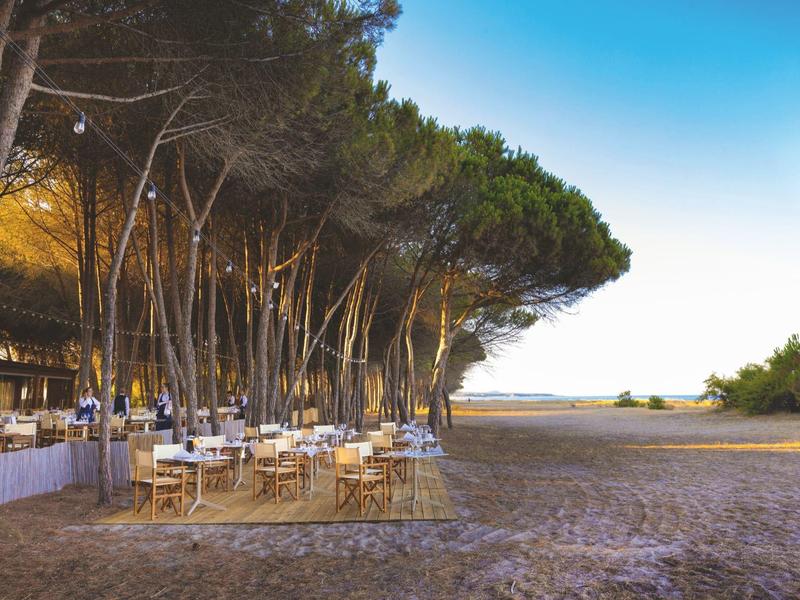 Restaurace s bílými stoly a židlemi pod piniemi na pláži za jasné oblohy.