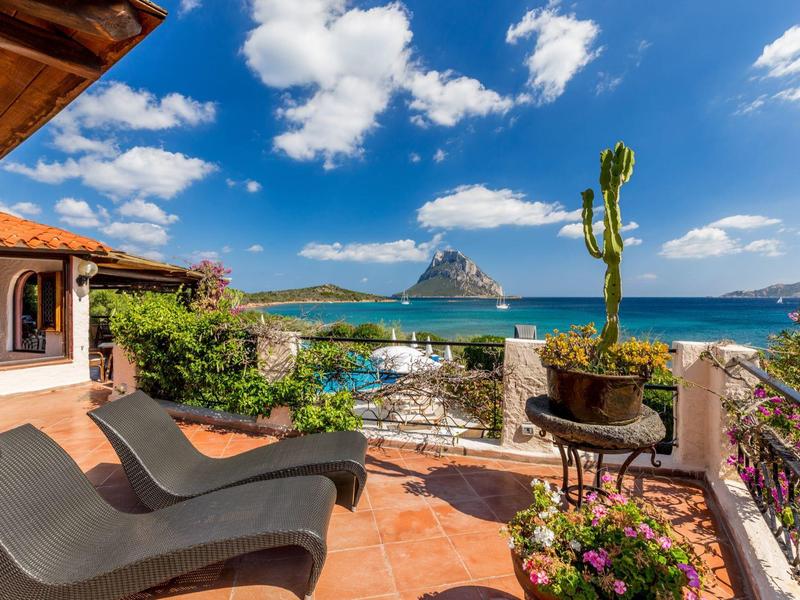 Terras met ligstoelen, planten en uitzicht op zee bij zonnig weer.