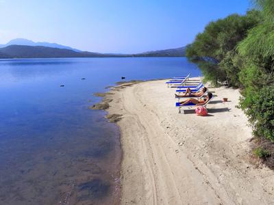 Plage de sable avec chaises longues près d'une eau claire et calme et des arbres verts sous un ciel bleu.